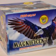 500 Gram Finale Cake – Magnificent 2