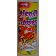 Fountains – Splendid Flower 2